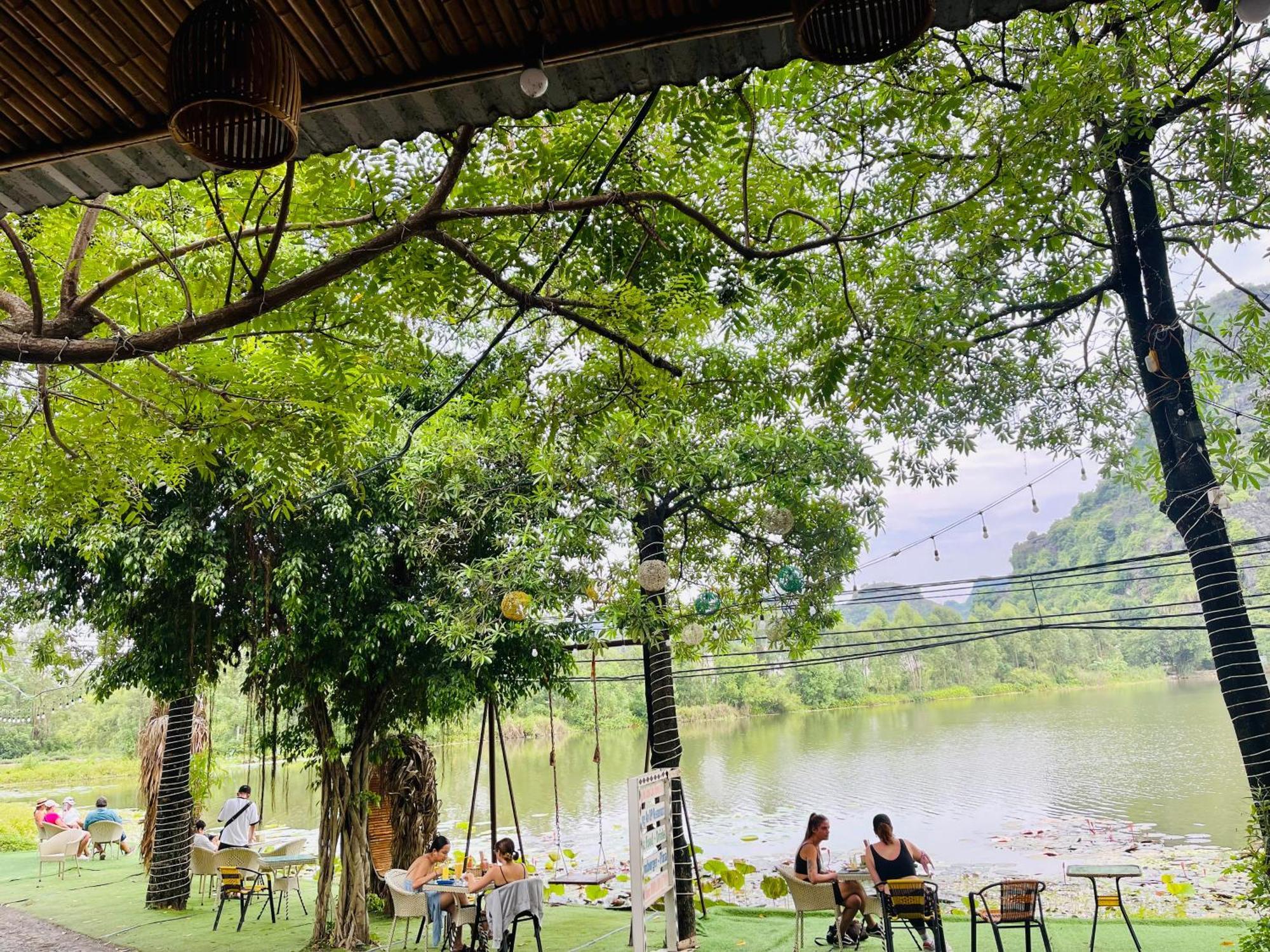 Trang An Lotus