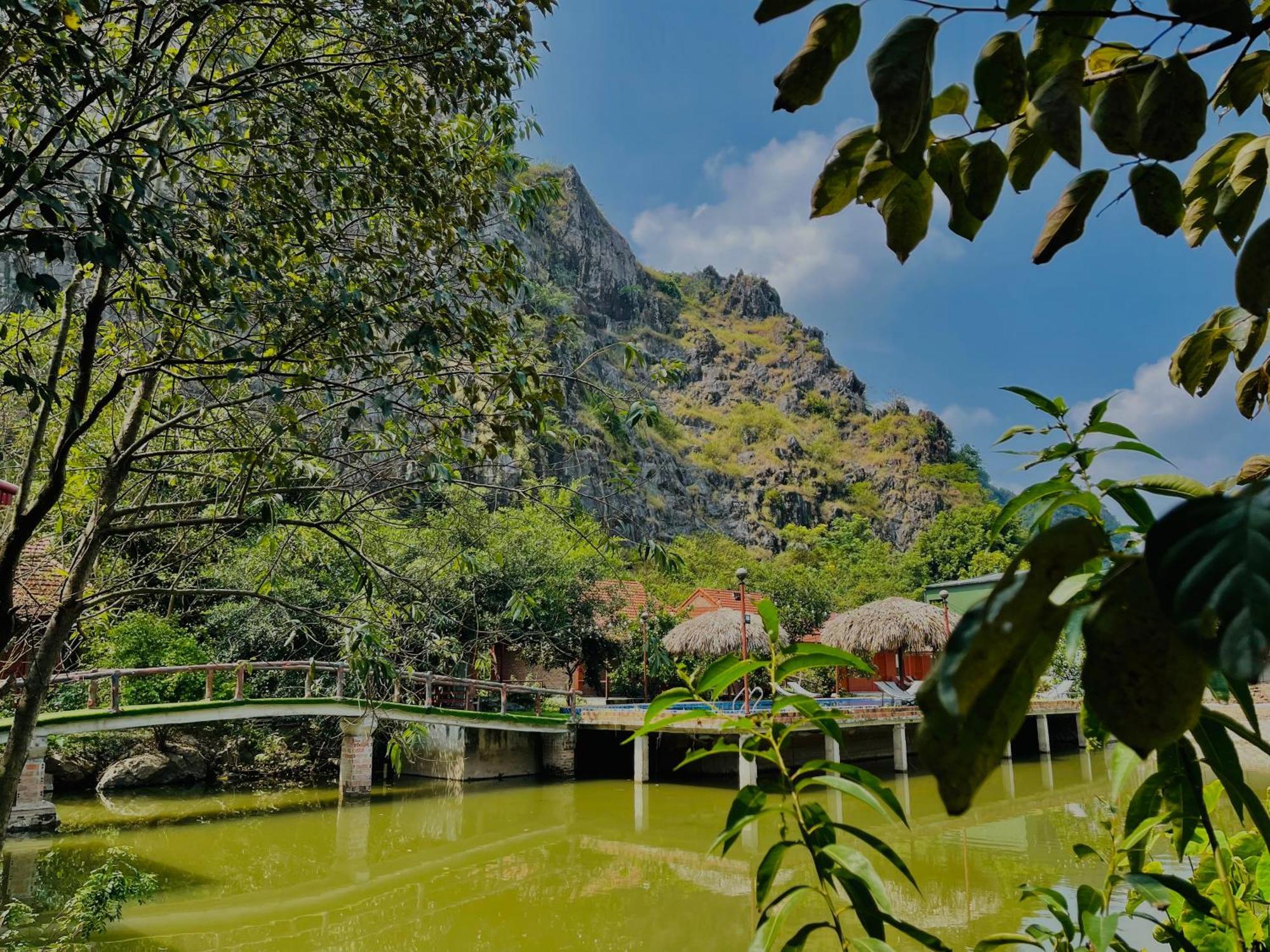 Trang An Lotus Ninh Bình